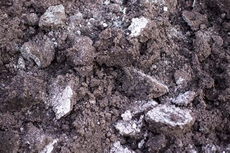 An Image Of Dark Soil Texture Background Stock Photo Image Of Land