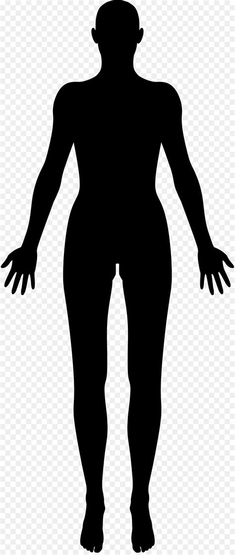 Female Body Shape Human Body Silhouette Clip Art Female 8942112