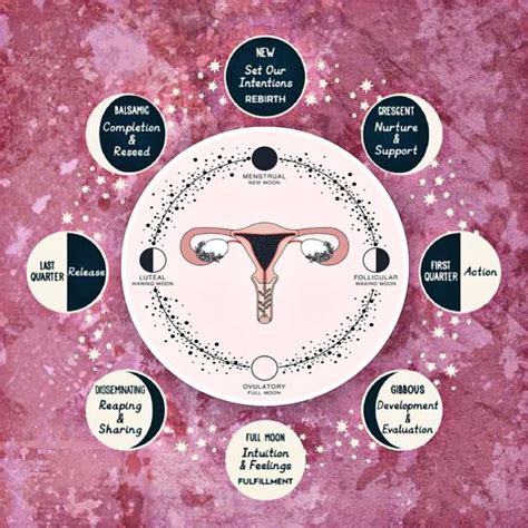 Wild Woman Studio On Instagram Come Learn About Aligning Your Menstrual Cycle With The Moon