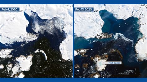 Nasa Satellite Photos Show Antarctica Melting In Record Setting