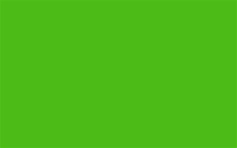Download Green Solid Color Background And The Below By Laurielopez