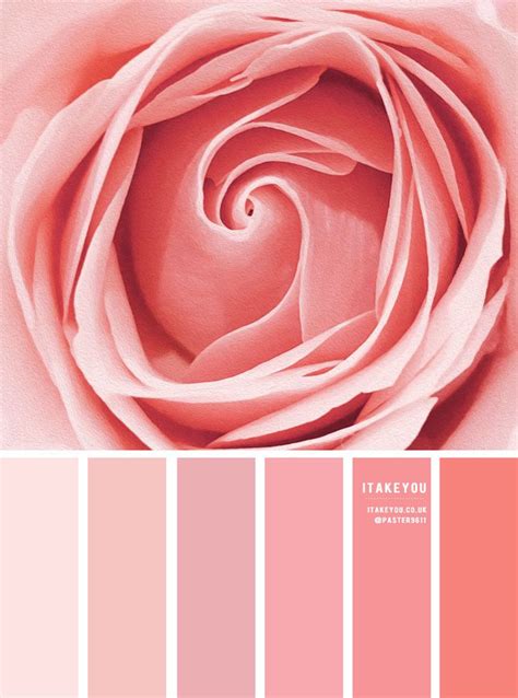 Color Inspiration Rose Pink Tones Color Palette Pink Color Palette