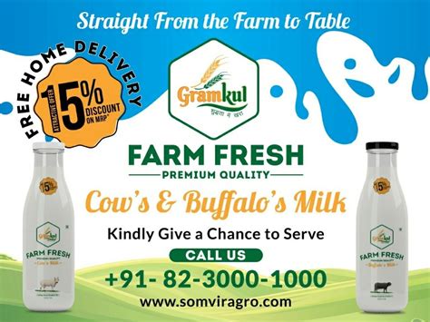 Farm Fresh Milk Disaster Recovery Service Shokeen Dairy Farm New
