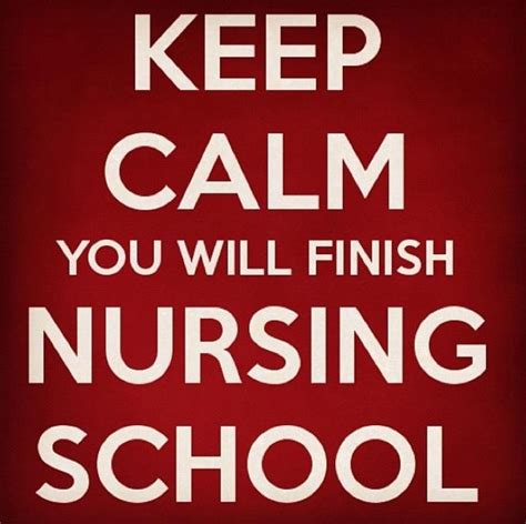 Pin By Jaimee Rogers On I Am An Rn Nursing School Nursing School