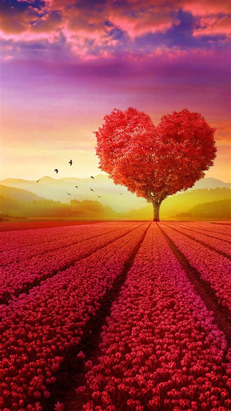 Love Heart Shape Tree Flowers Free 4k Ultra Hd Mobile Wallpaper