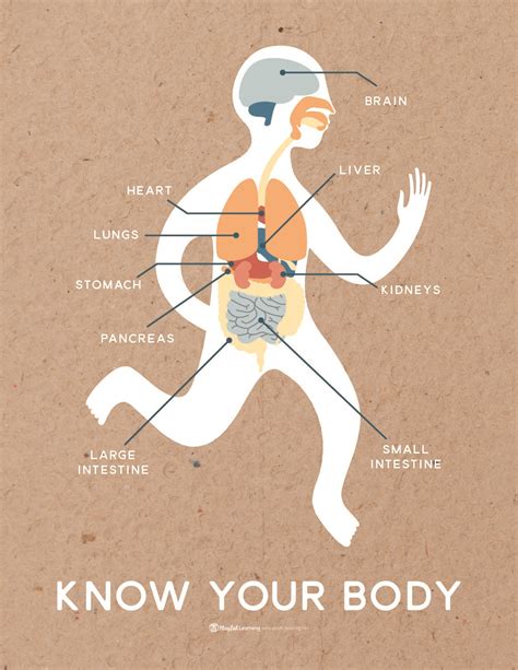 Knowyourbodyguide Playful Learning