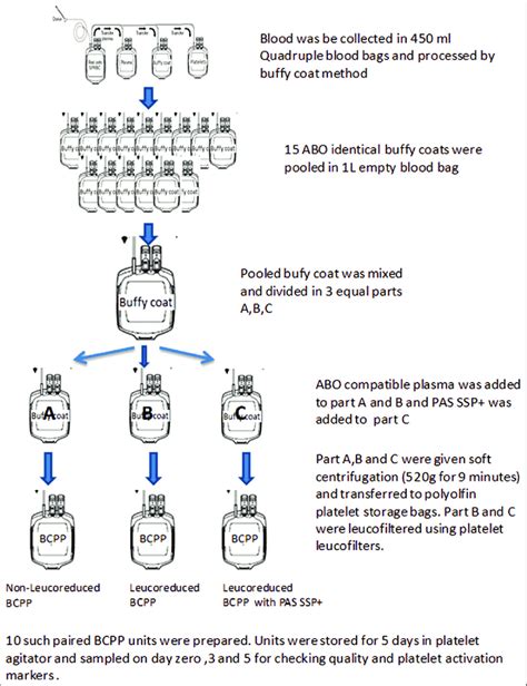 Flow Chart Of Preparation Of Buffycoat Pooled Platelets Bcpp And