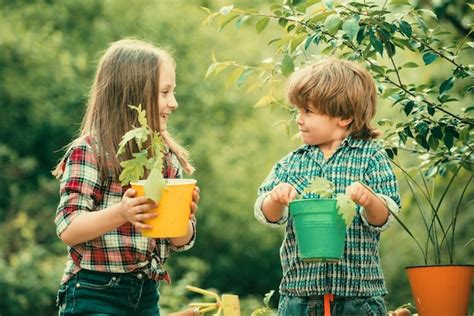 Premium Photo Planting Flowers In Pot Pretty Cute Kids Working And