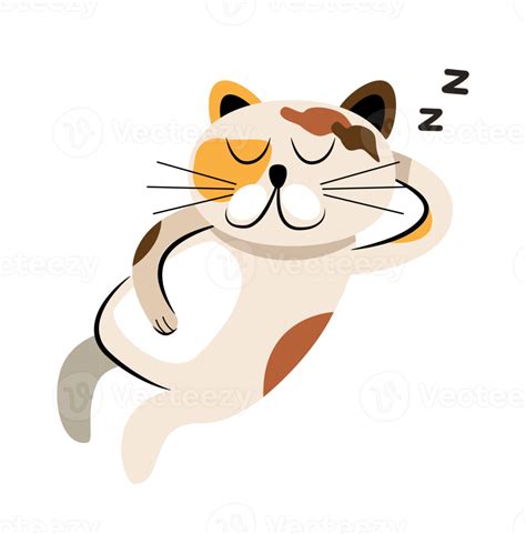 Free Cute Sleeping Cat 17221525 Png With Transparent Background