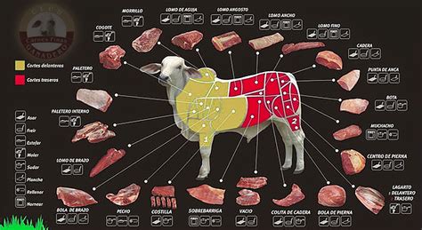 Inteligencia Carnica Bovina Cortes De Carne De Res En Colombia