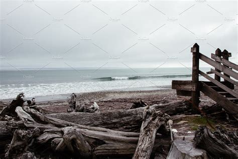 Driftwood On Beach Nature Photos Creative Market