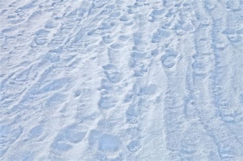 Footprints In Snow Clippix Etc Educational Photos For Students And