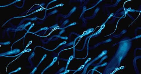 Alarming Drop In Sperm Count Across The World Find Researchers In