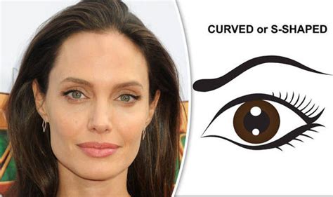 Celebrity Eyebrows Angelina Jolie Tops List Of Eyebrows Women Most