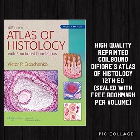 Difiores Atlas Of Histology 12th Edition Histo Atlas Textbook Lazada Ph