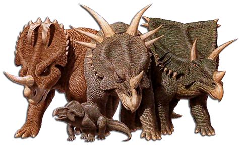 Ceratopsian Dinosaur Wiki Fandom