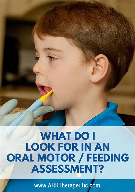 Oral Motor Exercises For Toddlers Feeding Online Degrees