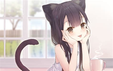 Anime Girls Anime Kyubi Artist Artwork Animal Ears Tail Cat