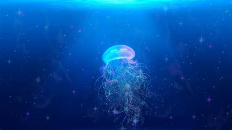 Jellyfish Underwater World Swim Tentacles Picture Photo Desktop