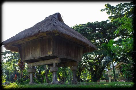 Ifugao Native House Lagawe Ifugao Harris Kalahi Flickr