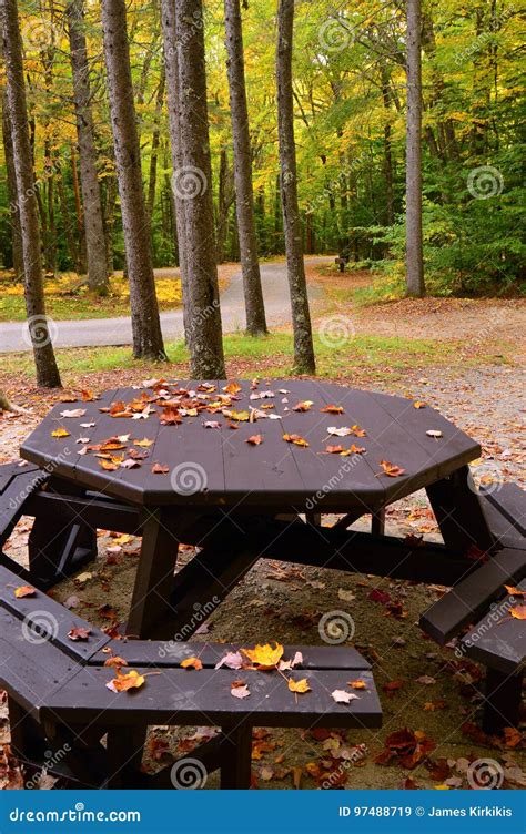 Autumn Picnic Table Stock Image Image Of Landscape Attraction 97488719