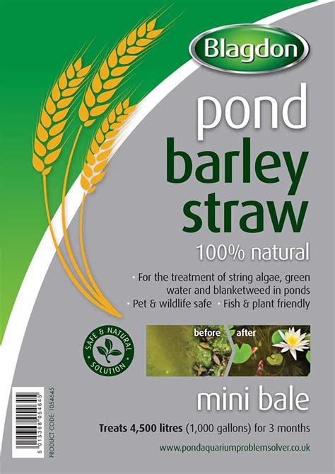 Blagdon Barley Straw Mini Bale 1054645 Easy Garden Watering
