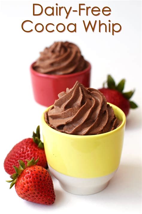 Dairy Free Chocolate Whipped Cream Recipe Vegan And Allergy Friendly