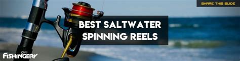 Best Saltwater Fishing Reels 2023 By Experts Fishingery