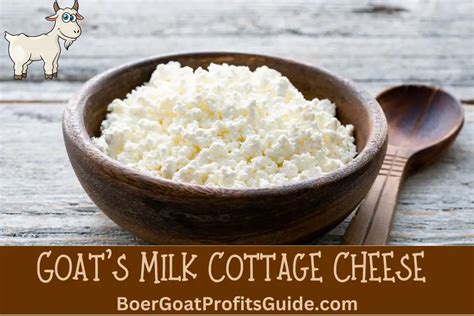 Goats Milk Cottage Cheese Boer Goat Profits Guide