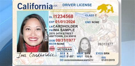 Exclusive Application For Driver License Renewal Receipt Template