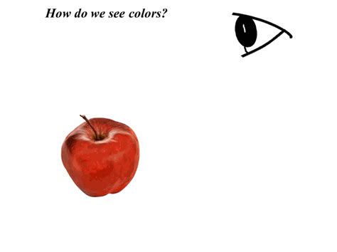 How Do We See Colors The Human Eye And Its Functioning Asrmeta 2022