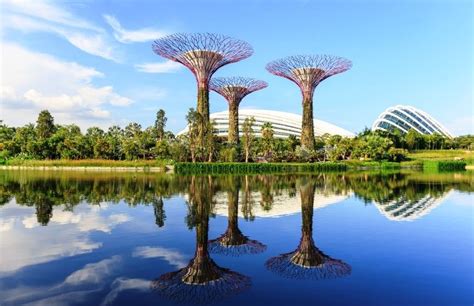 Gardens By The Bay Places To Visit In Singapore Thomas Cook