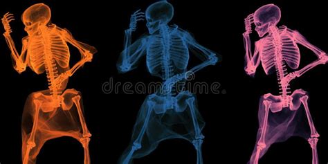 Radiography Art Stock Illustrations 460 Radiography Art Stock