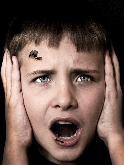 Entomofobia La Fobia A Los Insectos