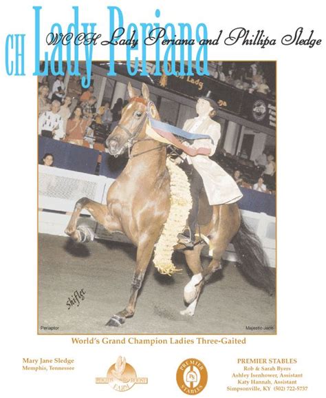 Phillipa Sledge And Ch Lady Periana American Saddlebred Saddlebred