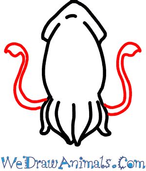 How to Draw a Cute Squid