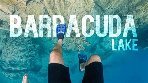 Barracuda Lake Coron Island Everything You Need To Know