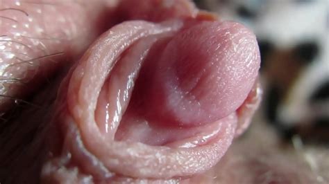 Extreme Close Up On My Huge Clit Head Pulsating Xvideos Com