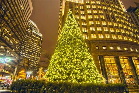 Christmas Time In The City Free Stock Photo Public Domain Pictures