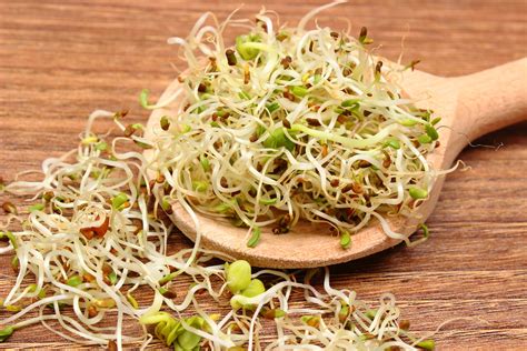 Got Sprouts Health Benefits Of Alfalfa Healthy Living Wellness Nutrition Expert Dr John