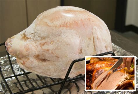 Turkey 911 How To Cook A Frozen Turkey Thermoworks