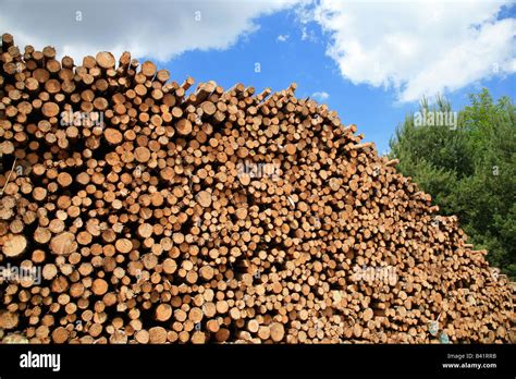 Stack Of Wood Stock Photo Alamy