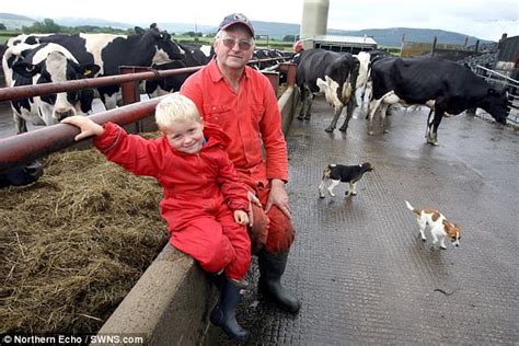Veteran Dairy Farmer Trampled To Death By His Own Cattle Daily Mail