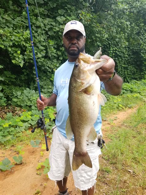 32 likes · 17 talking about this. A decent fish from a friend's farm pond this weekend ...