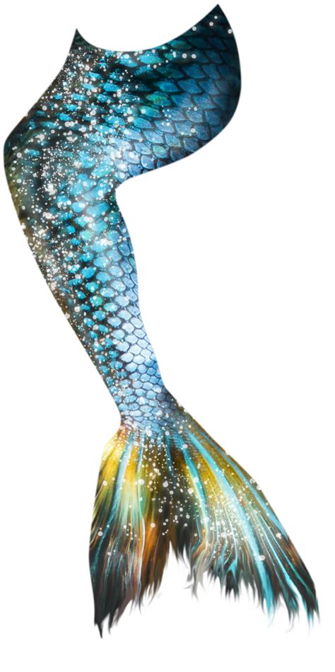 Mermaid Tail 15 Png Photo 513 Free Png Download Image Png Archive