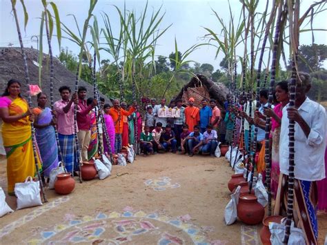 Celebration Of Pongal At Nattarampalli 2017