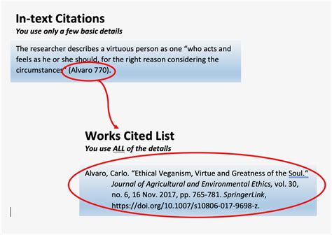 Two Types Of Citation Mla Style Citations