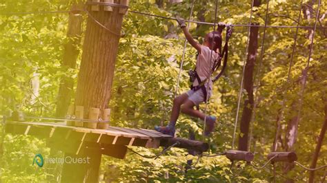 Treetop Quest Philly Located In Fairmount Park Jump Soar Climb