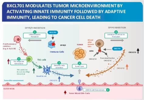 asco gu 2022 bxcl701 first in class oral activator of systemic innate immunity combined with