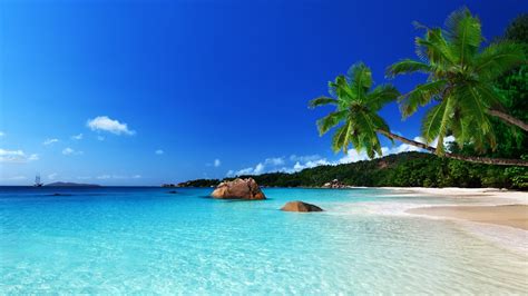 Banco De Im Genes Fotos De Playas Tropicales Con Agua Cristalina Sol Palmeras Y Arenas